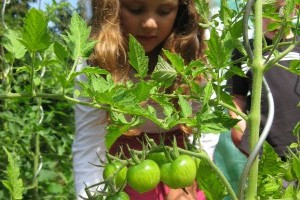 Fruits et légumes de saison