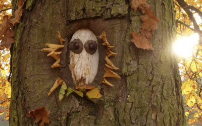 Artistes de la nature