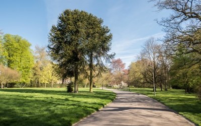 LE DOMAINE DE MARIEMONT FINALISTE DU « PATRIMOINE PRÉFÉRÉ DES WALLONS »
