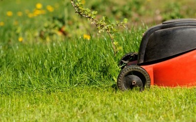 matinée 'La gestion différenciée appliquée au Parc de Mariemont'