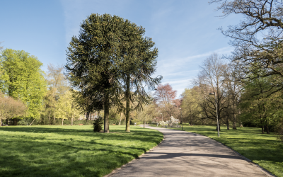 Week-end Parcs & Jardins de Wallonie au Domaine de Mariemont les 1 et 2 juin 2019