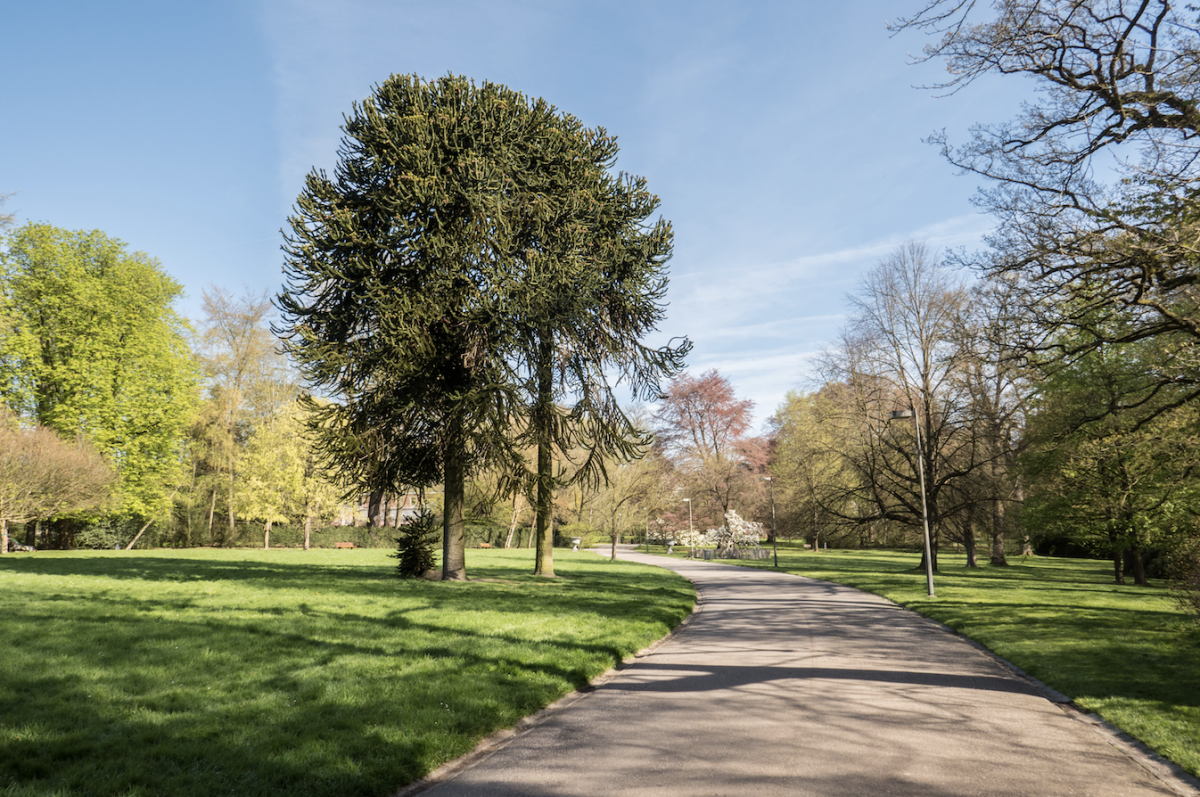Découverte du Domaine de Mariemont CRIE de Mariemont