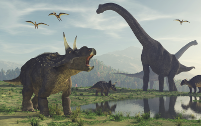 Sur les traces des dinosaures 