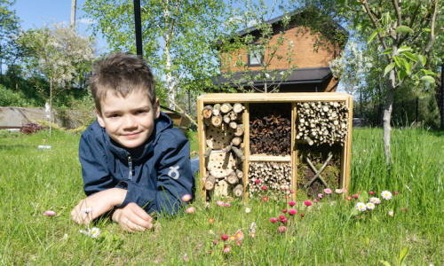 Les petits aventuriers de la biodiversité