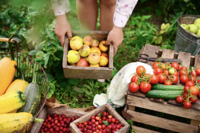 Appel à projets 'Alimentation saine et durable'