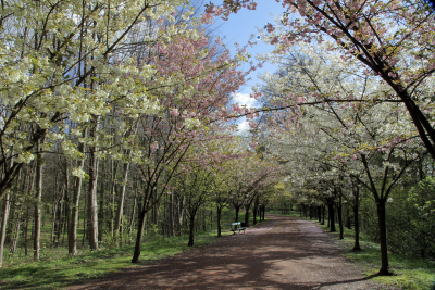 La Visite du Parc du 11 avril
