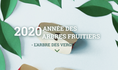 Programme pédagogique de la Semaine de l'Arbre 2020