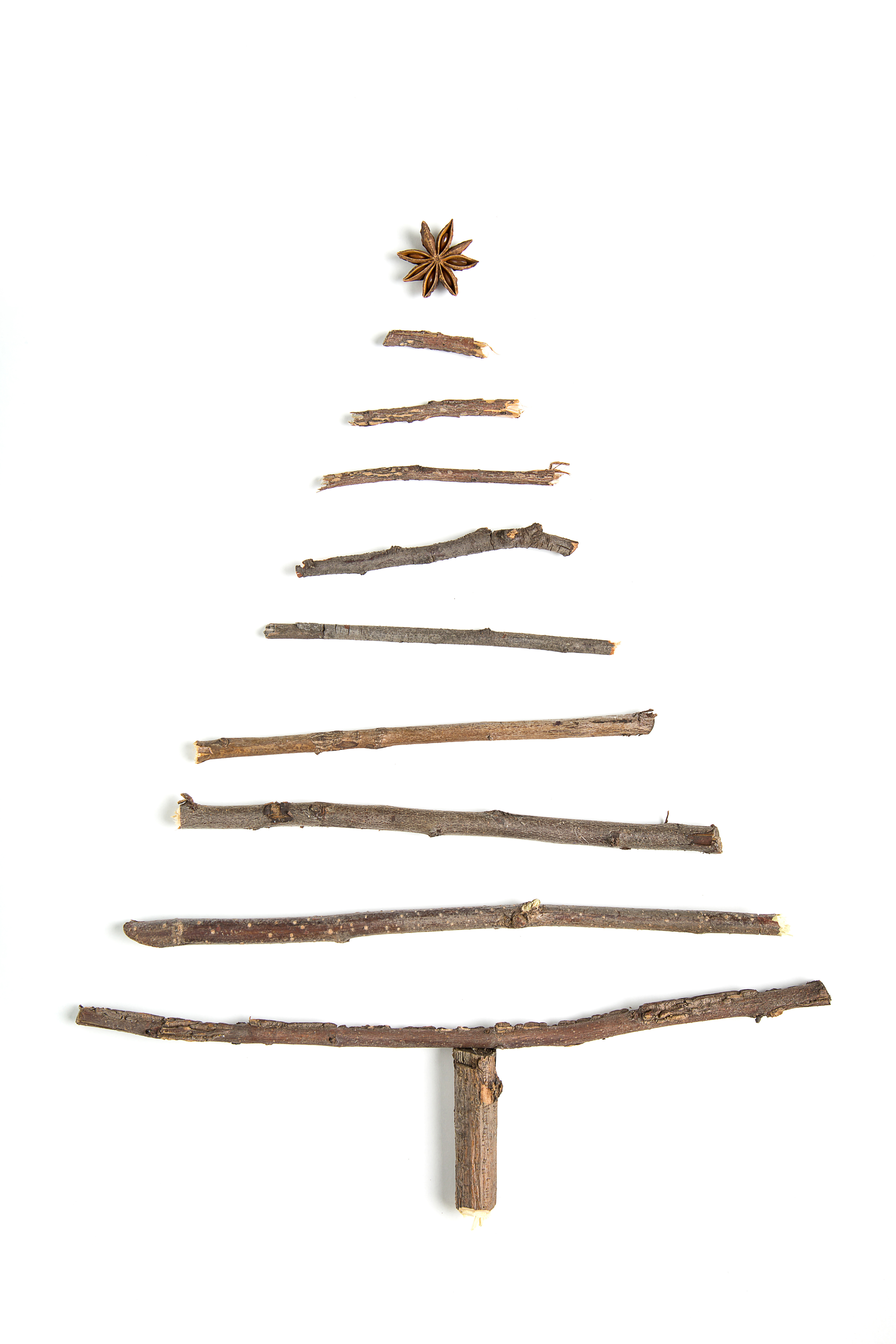Atelier Famille Noel Zero Dechet Ou Presque Crie De Mariemont