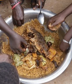 L’alimentation durable késako ?