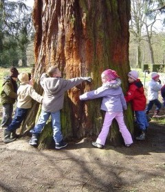 Secrets d'arbres aux 4 saisons