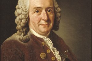 Sur les traces de Linné