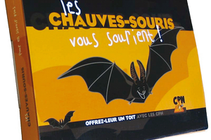 Les chauves-souris vous sourient