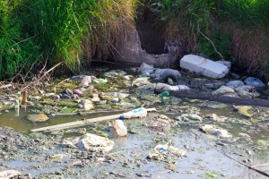 La pollution domestique de l'eau