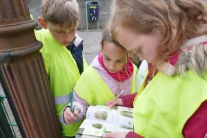 La biodiversité de mon école