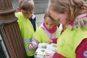 La biodiversité de mon école