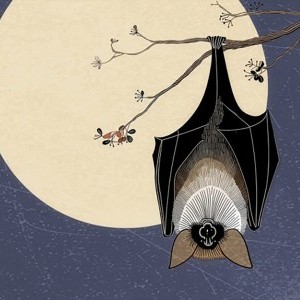 La nuit des chauves-souris dans le Parc