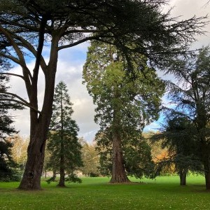 Pajawa - Visite générale et familiale du parc 