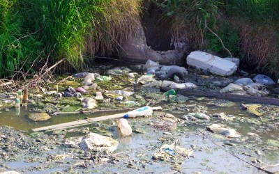 La pollution domestique de l'eau