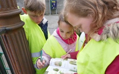 La biodiversité de mon école