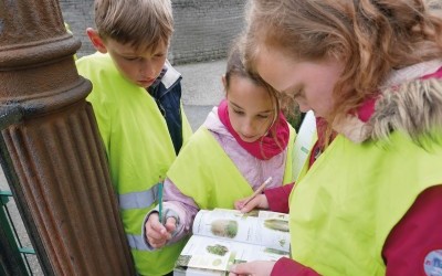 La biodiversité de mon école