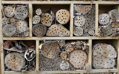 Les Hôtels à insectes, une bonne idée pour le jardin et la biodiversité 