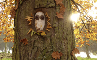 Land'art Nature dans le Parc