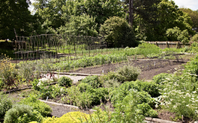 Le potager de Monsieur Warocqué