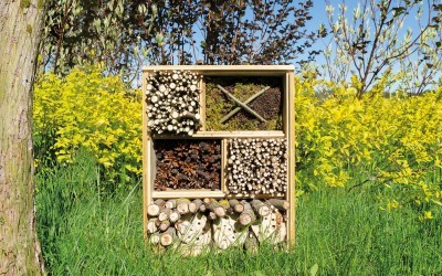 Aventure nature : biodiversité en action !