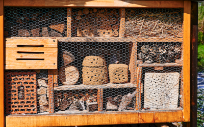 Chantier nature dans le Parc