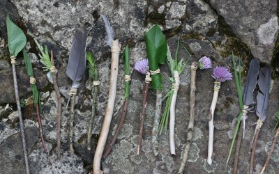 La nature aux mille jouets