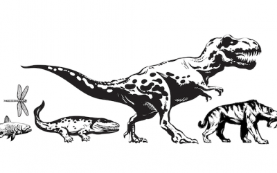 « La Marche du Temps Profond » – Aux origines de la Vie sur Terre