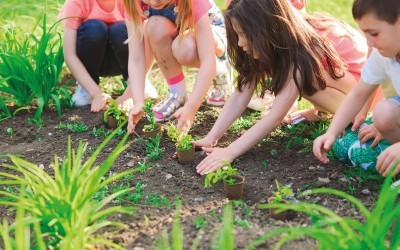 Les petits jardiniers : mission potager