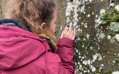 Formation « lichens GO » - grand public 