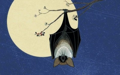 La Nuit des Chauves-souris