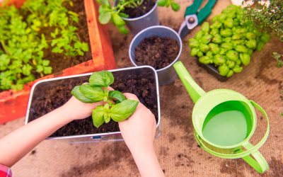 Les petits jardiniers en action