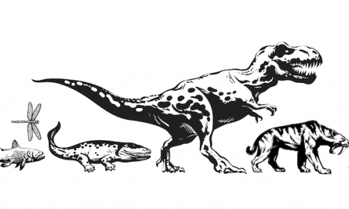 « La Marche du Temps Profond » – Aux origines de la Vie sur Terre