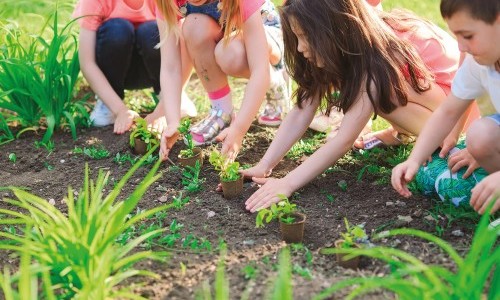 Les petits jardiniers : mission potager