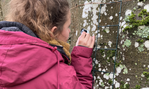 Formation « lichens GO » - grand public 