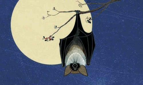 La Nuit des Chauves-souris