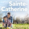 Journée de l'Arbre - Sainte-Catherine